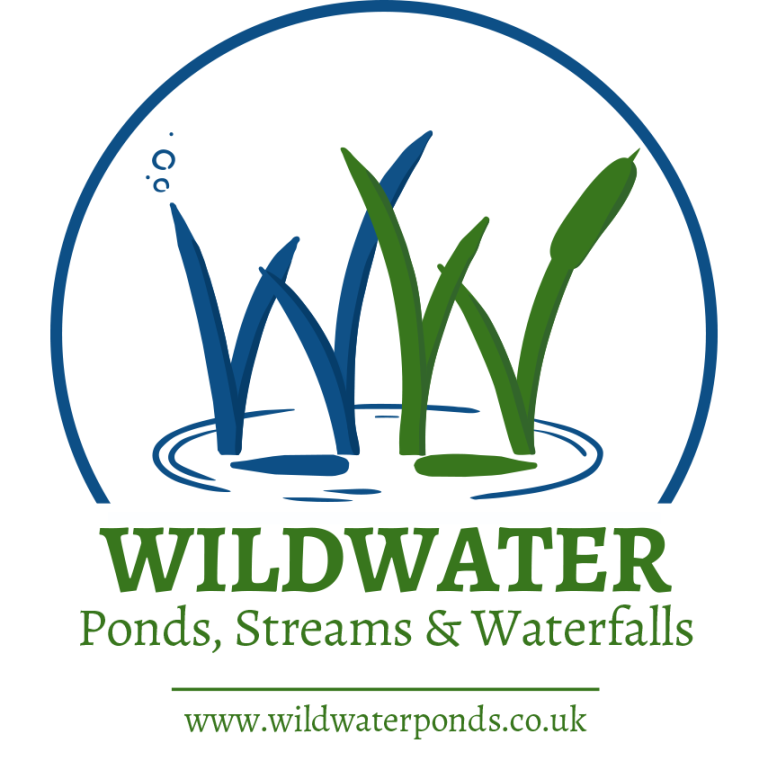 LOGO alt sub 768x761