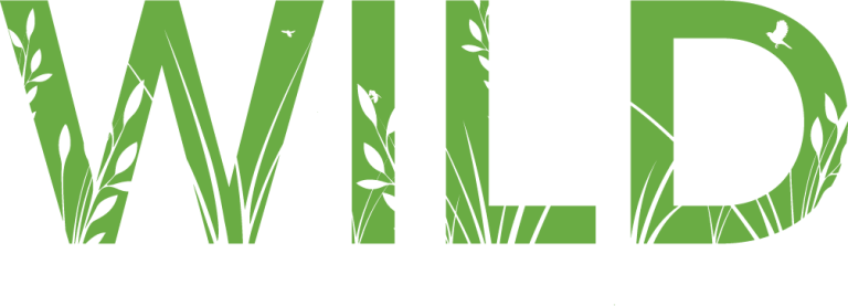 WILD Wordmark Gn 768x277