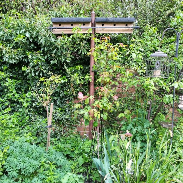 inbound5696858070927441716 768x768