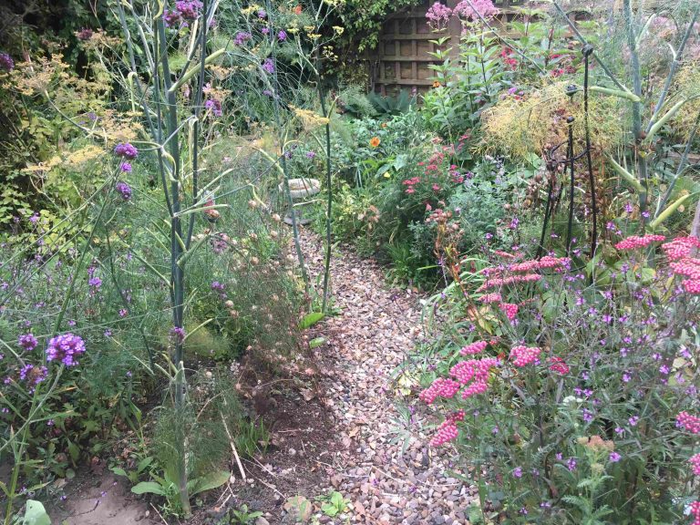 Compressed bg 768x576