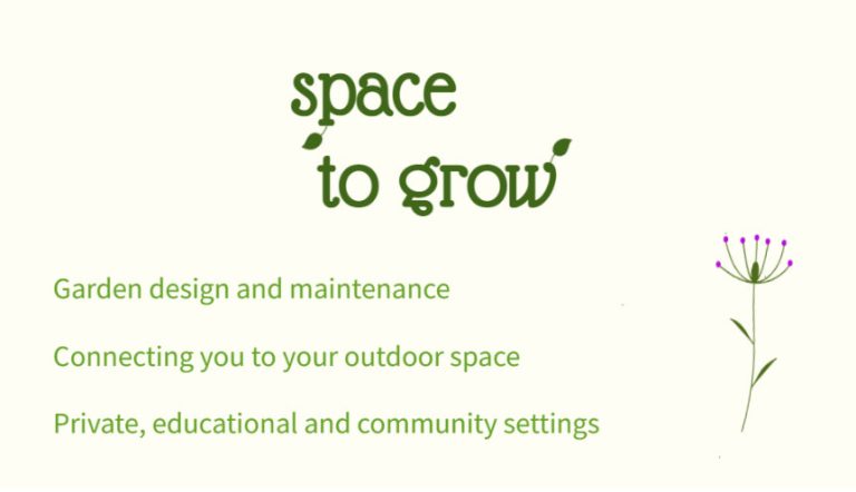 Space to grow logo 768x442
