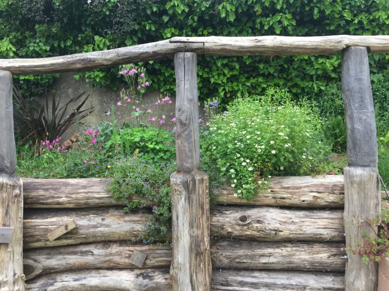 imresizer 1710237217445 768x576