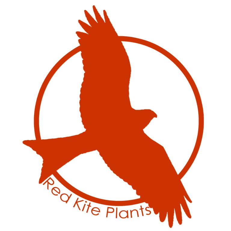 redkite logo 768x768