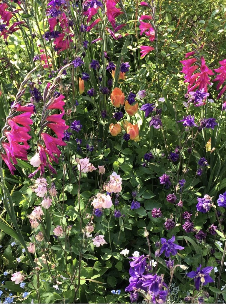 washington screen  768x1032