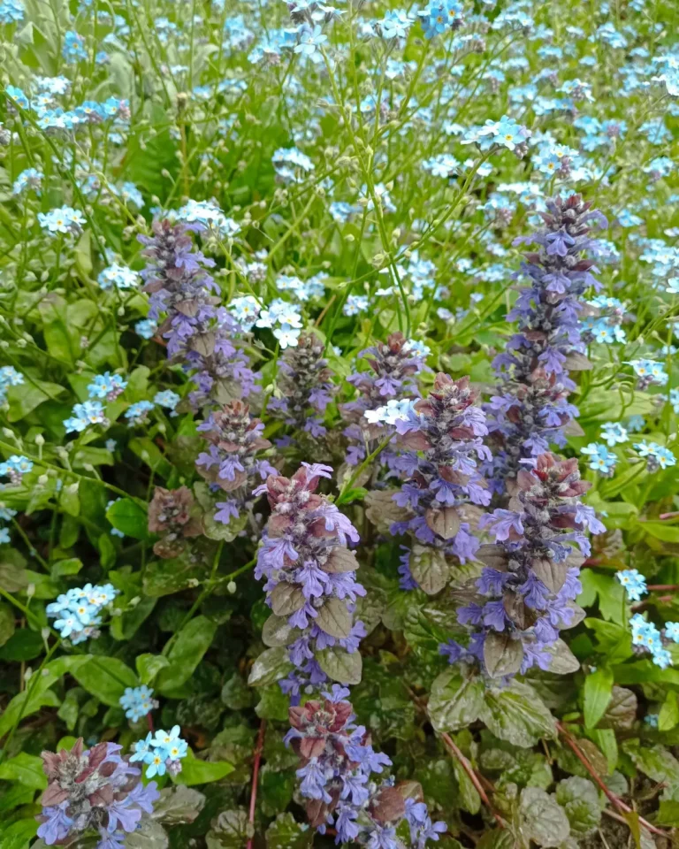 inbound3124544487641283841 768x960