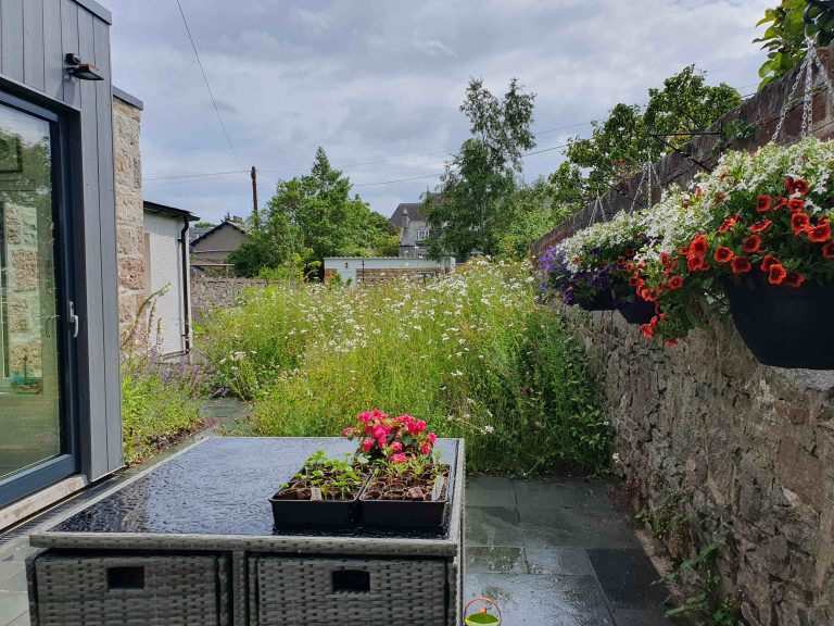 20230629 141207 768x576