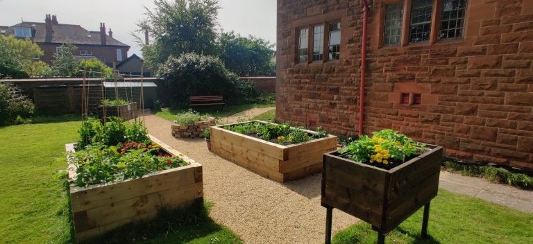 Community Garden 768x352