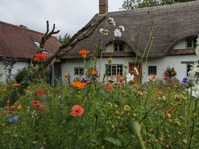 the cottage 2 Large 768x577