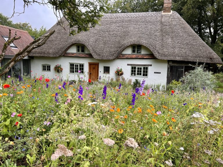 the cottage Large 768x576