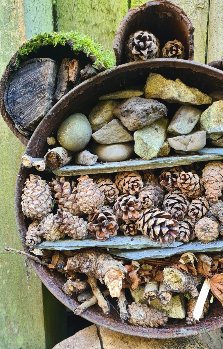 bug hotel 768x1200