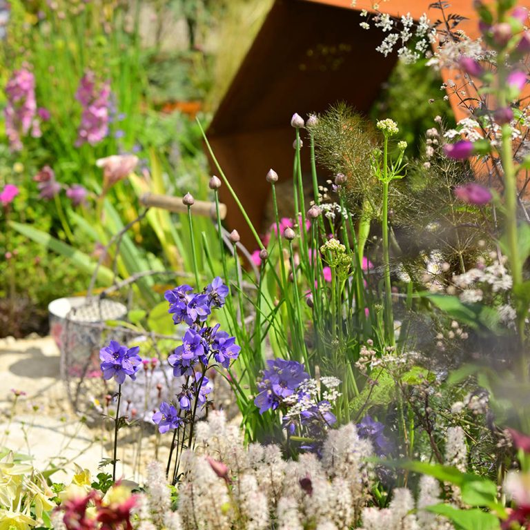 planting 1 1 768x768