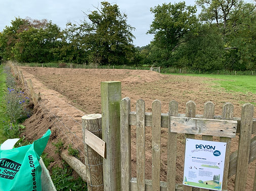 be2e96 6a221a37a8bf43a7b42b917163000caamv2