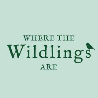 FB IMG 1689581266526