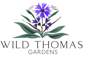 WTG NEW LOGO 300x198