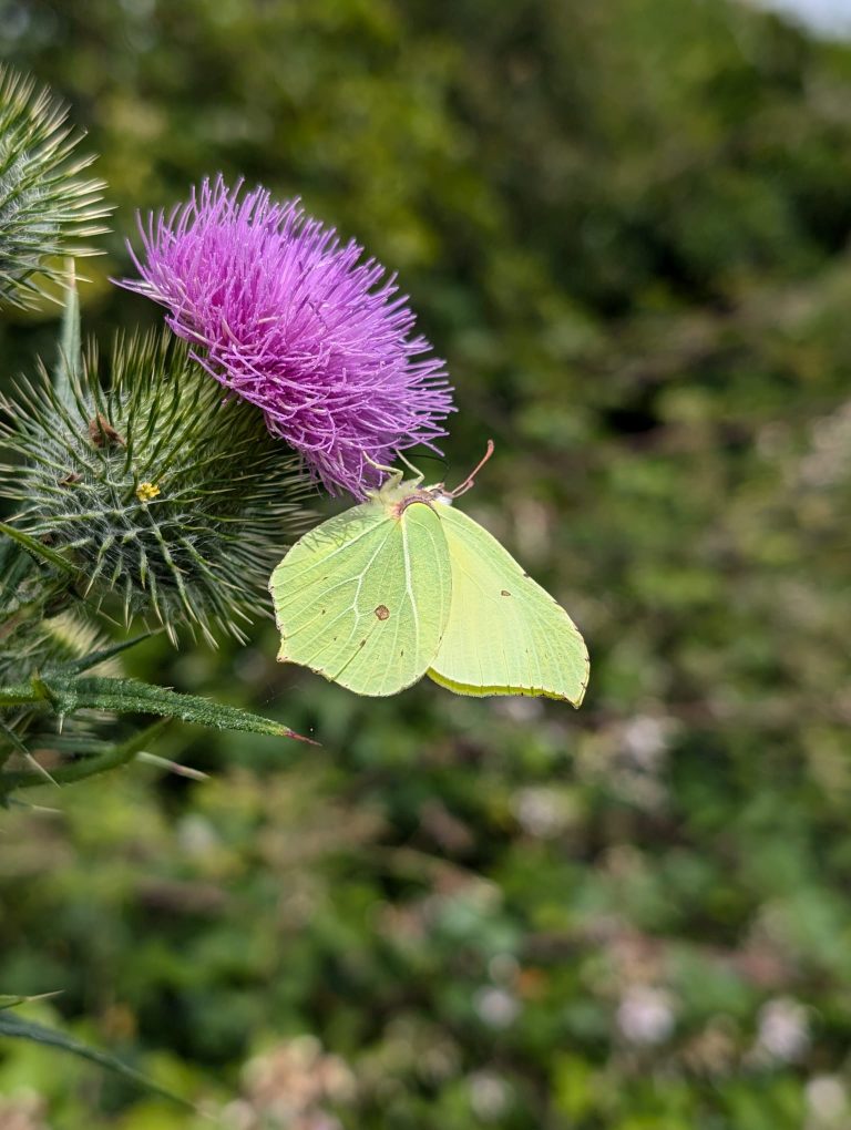 inbound2389168353190842042 768x1020