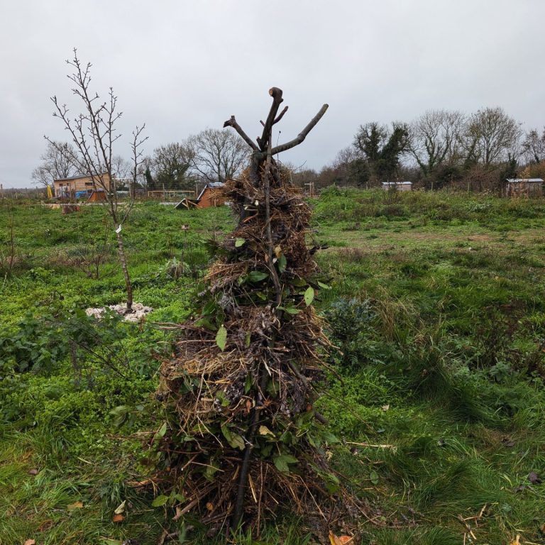 inbound4311472873399277448 768x768