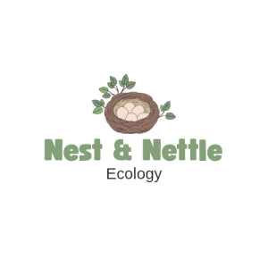 inbound8368844430475188438 300x300