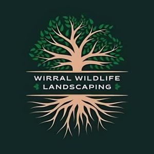 10586034 441e 451e a481 dfc2bf17a773 300x300