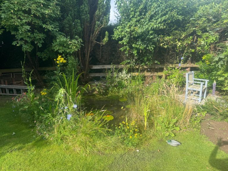 3de6713f e400 45ed b85c 429fd2653fd5 768x576