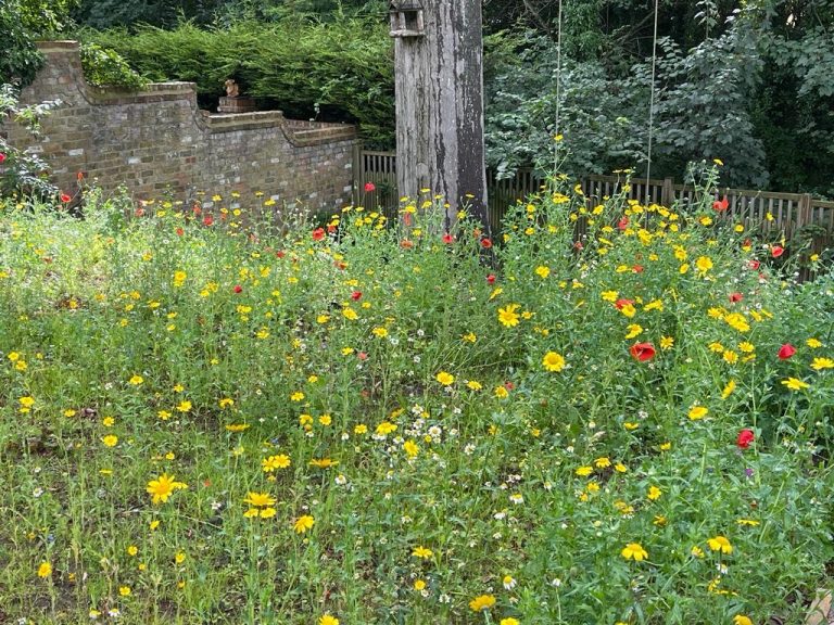 56b26f38 1321 462b a891 c63007ddd011 768x576