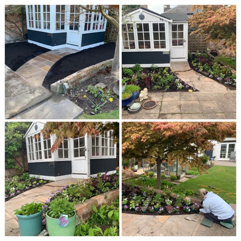 Woodland Border Before and After 768x768