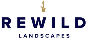 rewild high res@300x 300x136